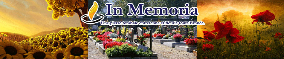 Logo In Memoria